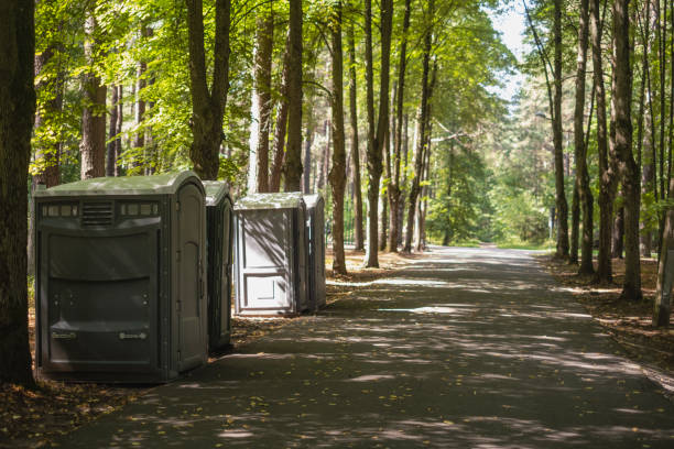 Best Standard Portable Toilet Rental in Dresser, WI